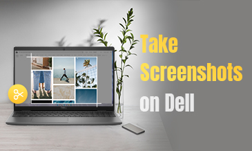 Zrób zrzuty ekranu na Dell