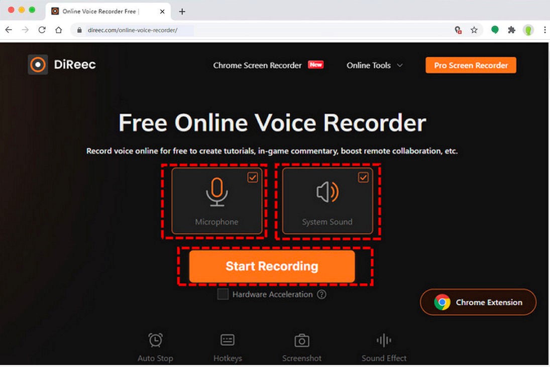 Voer Direec Online Voice Recorder in